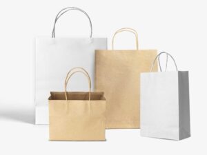 20230517_115146277132_cdf17e_Paper-bags