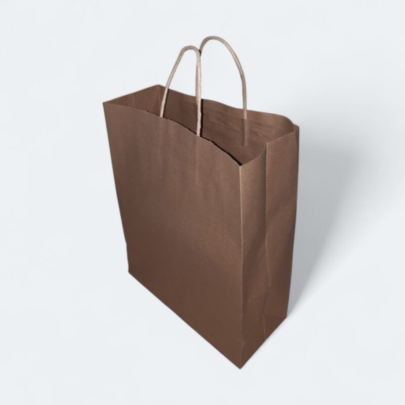 Designed paper handle bags